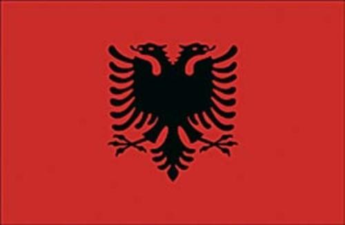immagine-1-bandiera-di-cortesia-20-x-30-albania
