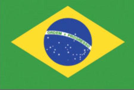 immagine-1-bandiera-di-cortesia-20-x-30-brasile
