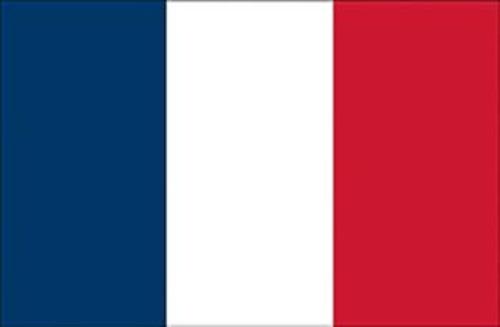 immagine-1-bandiera-di-cortesia-20-x-30-francia