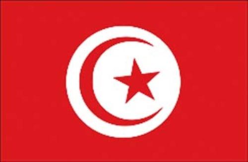 immagine-1-bandiera-di-cortesia-20-x-30-tunisia