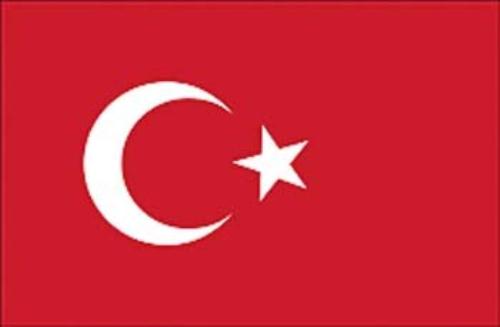 immagine-1-bandiera-di-cortesia-20-x-30-turchia