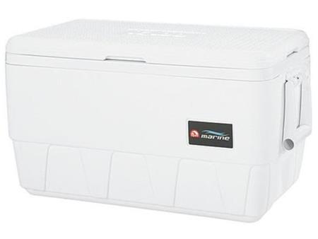 immagine-1-igloo-ghiacciaia-igloo-36-qt-ean-0781678159558